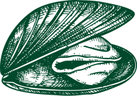 musselgreen