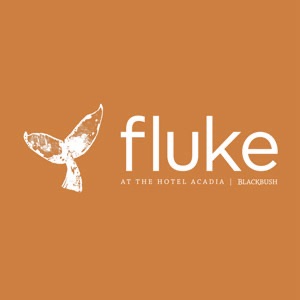 Fluke at Blackbush