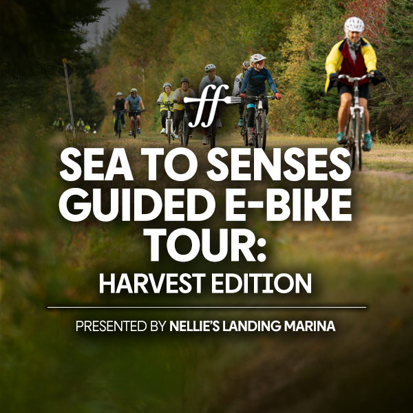 Sea to Senses Guided E-Bike Tour: Harvest Edition